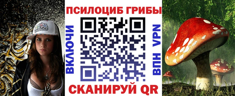 Галлюциногенные грибы Psilocybe  Купить  Корсаков 